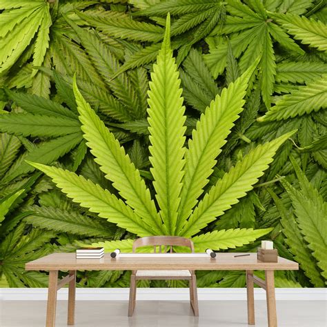 Potent THCa Flower Strains Coming SOON! - Freedom Health Hemp Shop