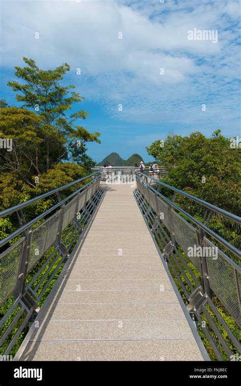 Suspension Bridge Walkway On The Top Of Mount Mat Cincang Langkawi