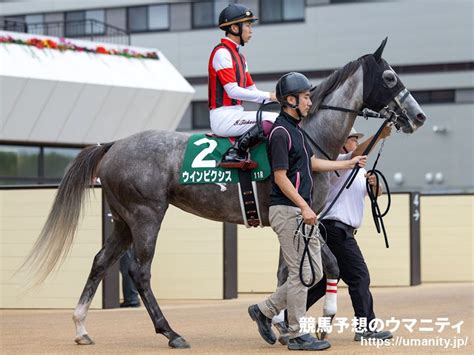 【福島記念】ウインピクシス迫力満点の動き 単走馬なりで鋭く伸びてラスト11秒1｜競馬ニュース｜競馬予想のウマニティ