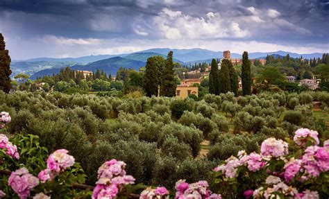 Tuscan Landscape With Roses And Mountains In Florence, Italy Photograph ...