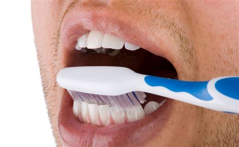 Como Eliminar La Placa Dental En 5 Minutos Sin Ir Al Dentista Salud