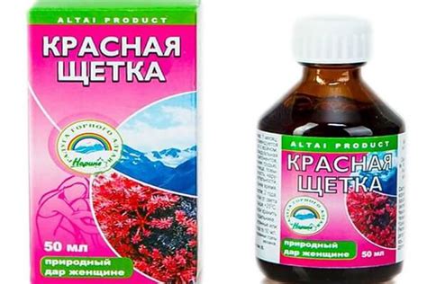Красная щетка - показания и противопоказания, лечебные свойства, применение