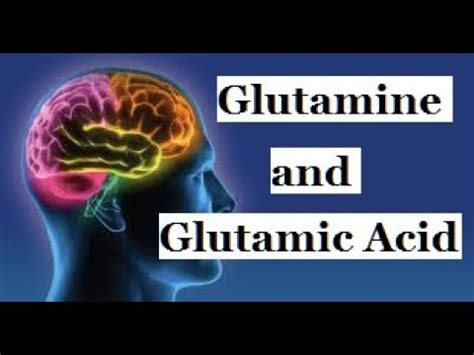 Glutamine And Glutamic Acid Does Youtube