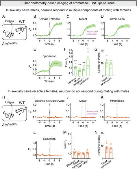 Limbic Neurons Shape Sex Recognition And Social Behavior In Sexually Na Ve Males Pmc