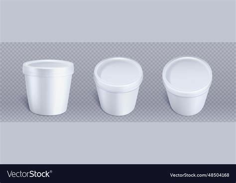 Ice cream package white plastic container Vector Image