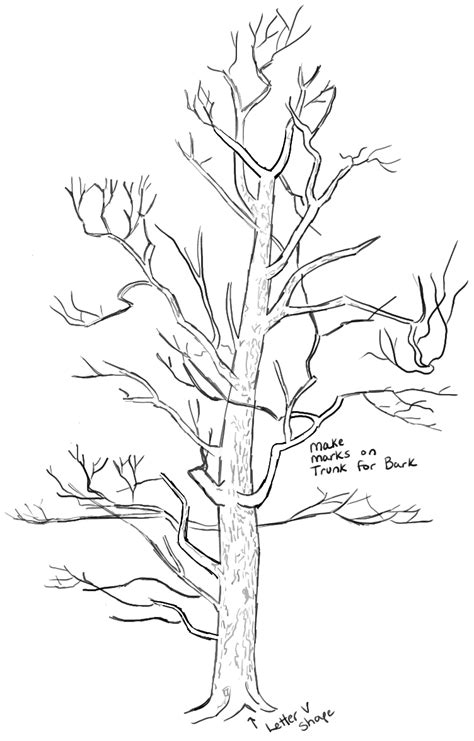 How To Draw Trees Drawing Realistic Trees In Simple Steps How To