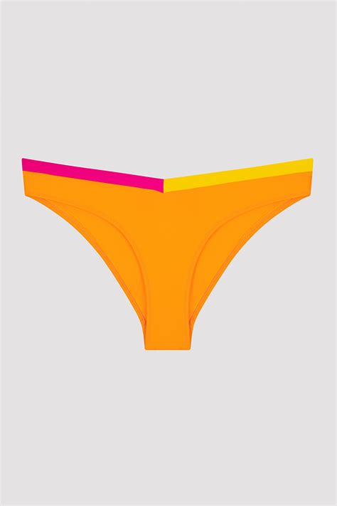 Çok Renkli Santos V Kesim Bikini Altı PLD0X16R22IY MIX Çok Renkli Penti