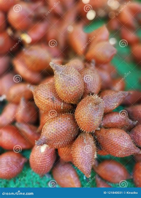 Fruta De La Serpiente Imagen De Archivo Imagen De Fresco 121840031