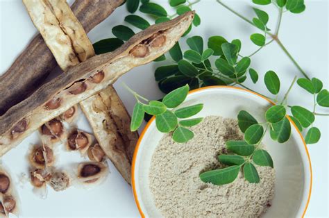 Conhe A Os Benef Cios Da Moringa A Planta Que Um Superalimento