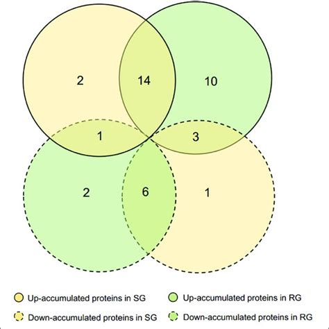 Venn Diagram Of Differentially Accumulated Proteins Daps In Rg And Download Scientific