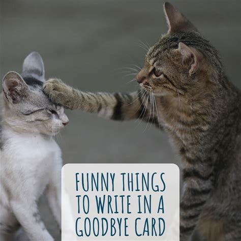 Funny Things to Write in a Goodbye Card | Holidappy