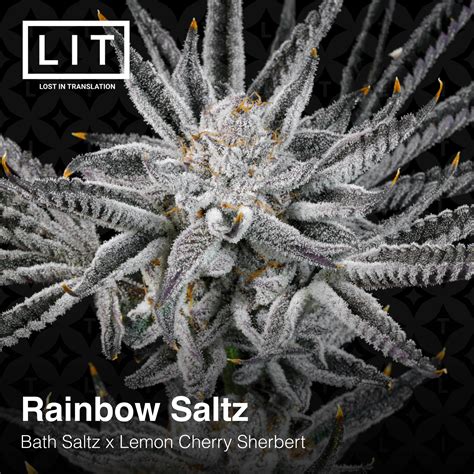 Rainbow Saltz F LEMON CHERRY SHERBERT DROP Cannabis Seeds For