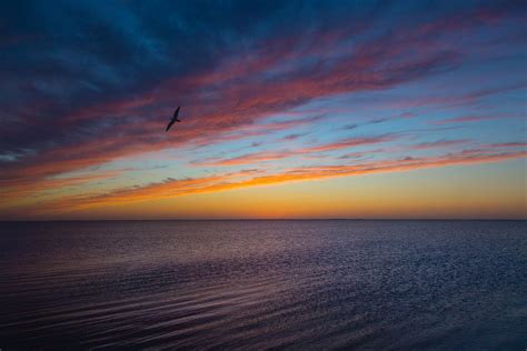 Padre Island National Seashore – Cat Sparks Photography