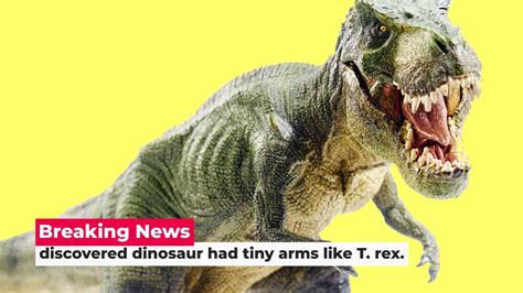 The Workers In Argentina Discovered Dinosaur Who Had Tiny Arms Like T