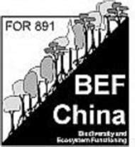 Previous projects | BEF-China 