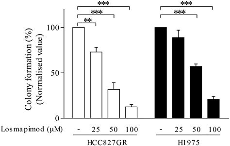 Losmapimod Overcomes Gefitinib Resistance In Non Small Cell Lung Cancer