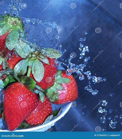 Washing Strawberries stock image. Image of fruit, sink - 37546255