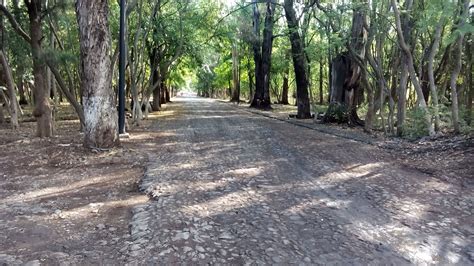 Jiquilpan recorre un Pueblo Mágico lleno de cultura y tradición