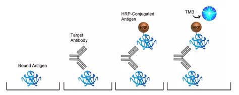 Mouse Anti-Hepatitis B virus surface antibody Qual ELISA Kit | LSBio