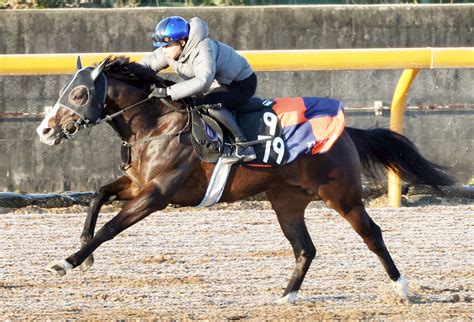 【岩田康誠の熱血！！競馬道】ビーアストニッシドとのリズム重視で重賞取る Umatoku 馬トク