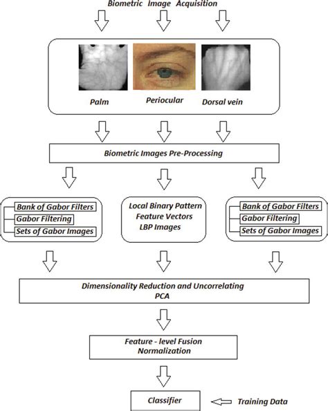 Multimodal Biometrics For Person Authentication Intechopen