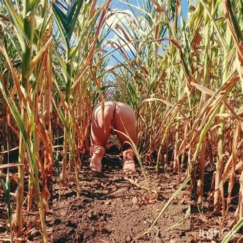 Corn Field Life Gay Bareback Bareback Porn Feat SloveniaBoy XHamster