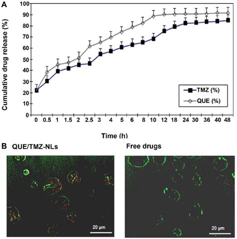 In Vitro Drug Release Profile And Cellular Uptake Of The Quercetin And