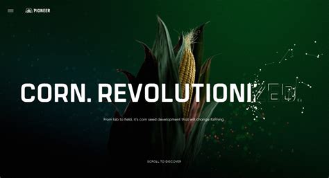 Pioneer - Corn Revolutionized - Awwwards SOTD