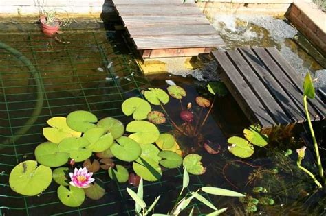 Créer une mare naturelle dans son jardin Bassin de jardin Jardins