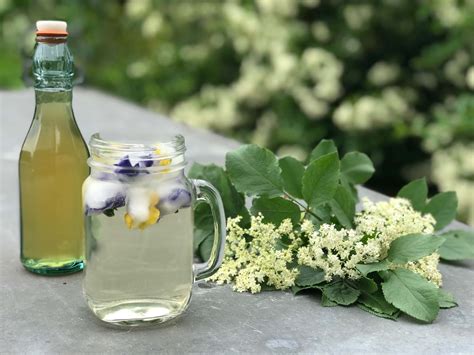 Homemade Elderflower Cordial Margot S Kitchen