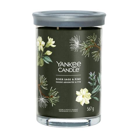 Paniate Yankee Candle Signature Candela In Tumbler Grande Silver Sage