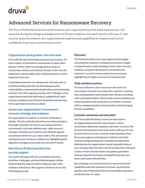 Advanced Services For Ransomware Recovery Druva