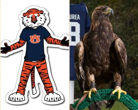 Why Does Auburn Have 2 Mascots War Eagle And Tiger