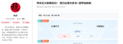 新浪彩票专家仙道竞彩推荐：德乙西甲2串1彩票新浪竞技风暴新浪网