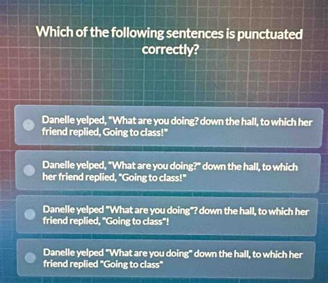 Solved Which Of The Following Sentences Is Punctuated Correctly