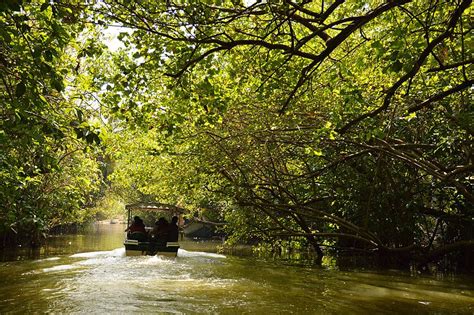 Poovar Island and backwaters - Trip2kerala