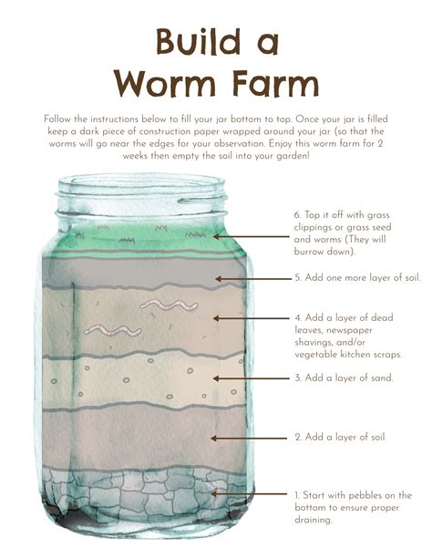 How To Build A Worm Farm — Hatching Curiosity Worm Farm Worms Worm