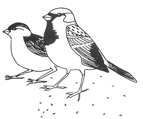 119 dessins de coloriage oiseau à imprimer sur LaGuerche Page 2