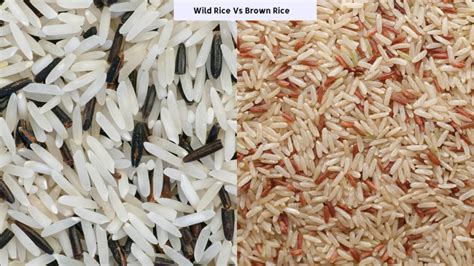 Exploring The Nutritional Benefits And Different Types Of Wild Rice A