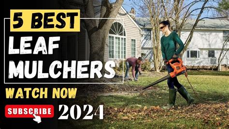 The 5 Best Leaf Mulcher On 2024 Leaf Mulchers Review Leaf Mulchers