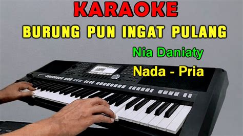 BURUNG PUN INGAT PULANG KARAOKE Nada Pria Nia Daniaty YouTube