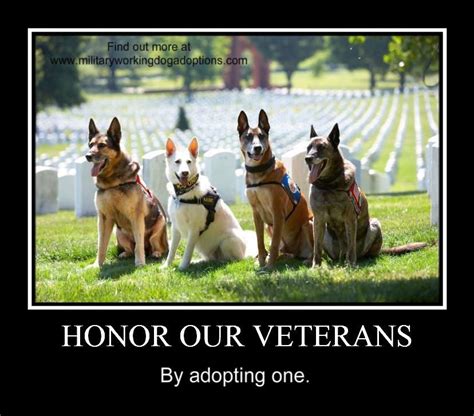 Honor Our Veterans Adopt A Military Working Dog Military Working