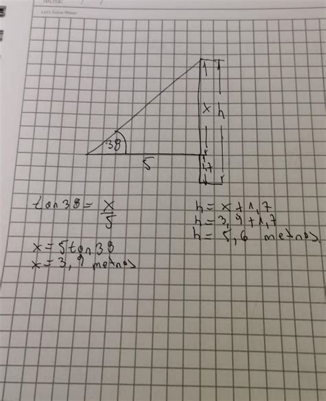 Una Persona Que Mide M De Estatura Observa Un Ave En La Parte Alta