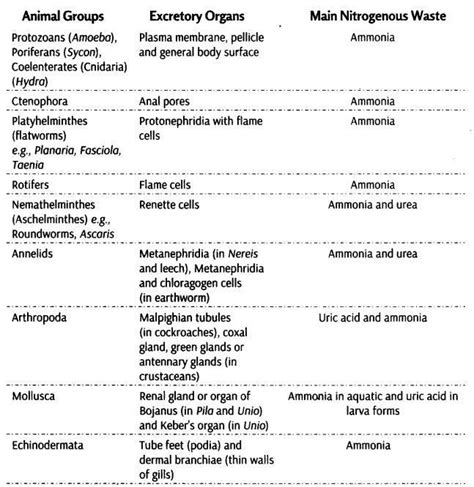 Excretory Products And Their Elimination Cbse Notes For Class