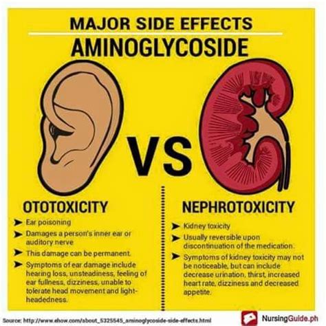 Aminoglycoside Pediatric Nurse Practitioner Pharmacology Nursing