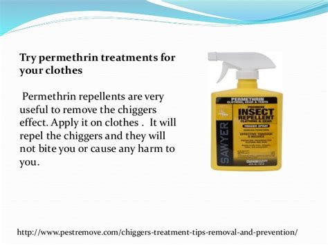 Chiggers treatment tips for removal and prevention