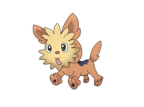 012 Lillipup by Pokekawaii on DeviantArt