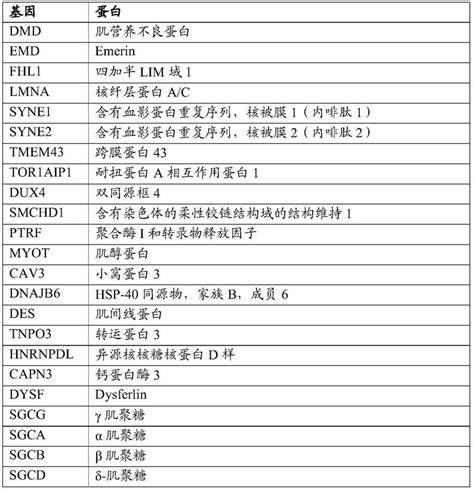 具有降低的肝向性和增加的肌肉转导的aav9和aavrh74之间的肽修饰的杂合重组腺相关病毒血清型