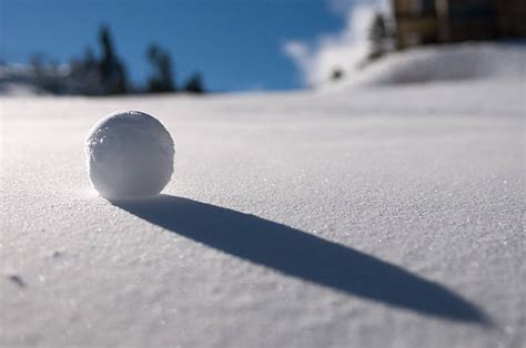 Snowball Pictures, Images and Stock Photos - iStock