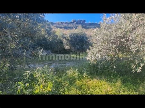 Terreno Agricolo Contrada Fiumara Noto Rif 102111976 Immobiliare It